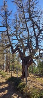 Fotografie z Johann Speik na trase