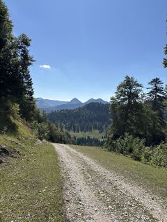 Fotografija s spletne strani Heinz Sperl na poti