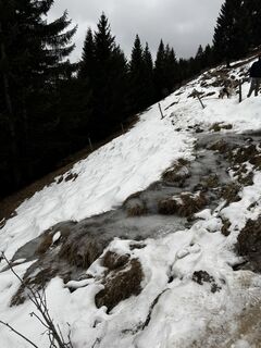 Foto von Veselina Petrova entlang der Tour