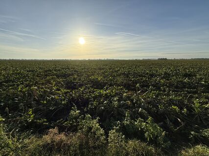 Foto von Larsen Lüngen entlang der Tour