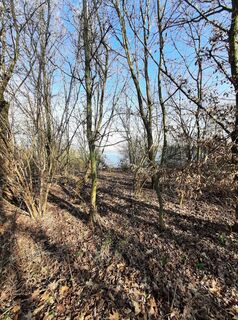 Foto von Marco Sandfort-Wessels entlang der Tour