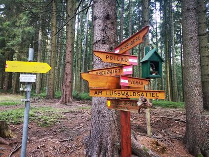 Photo de Ines le long du parcours