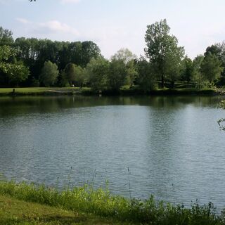 Motiv2 - Wasser ist Leben