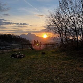 Wiese auf dem Mönchsberg mit Blick Richtung Maxglan