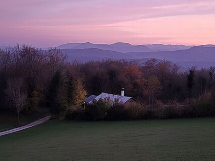 Fotografia z TwilightTea na trase