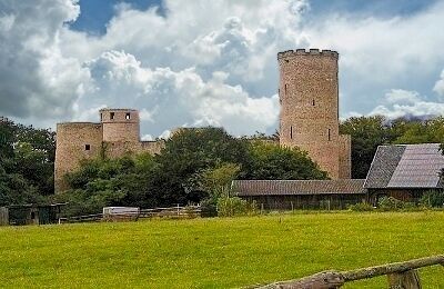 Burg Laufenburg