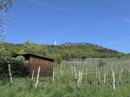 Photo de Alexander Wastian le long du parcours