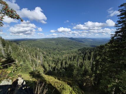 Fotografija s spletne strani Wollomator na poti