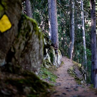 Weg zum Blindbärgji