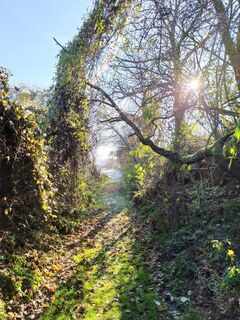 Ehret den Sock-Wanderweg