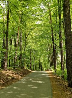 Fotografija s spletne strani Jürgen Fuchsberger na poti