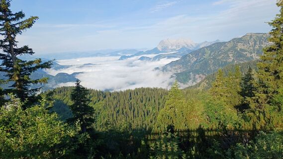 Photo de Christian L. le long du parcours