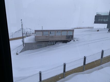 Foto von Ratte entlang der Tour