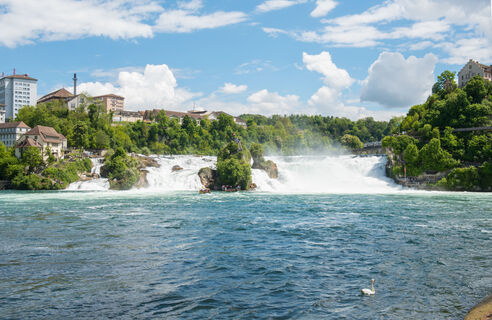 Mittelfelsen im Rheinfall