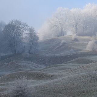 Winterlandschaft Staffelegg