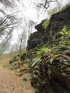 Fotografija s spletne strani Gerald na poti