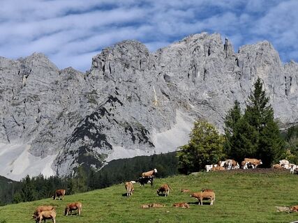 Fotografia z Hustmeissner na trase