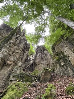 Foto von Robert Christiaans entlang der Tour
