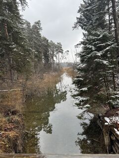 Foto från Denise Miller under resans gång