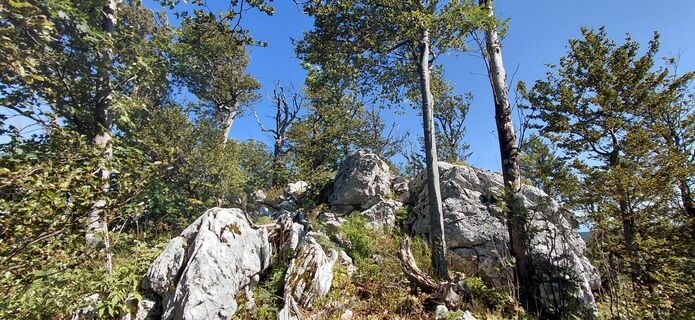 Fotografia z Stane Korošec na trase