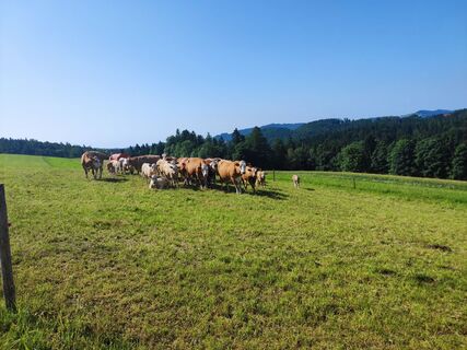 Foto da stuebi lungo il tour
