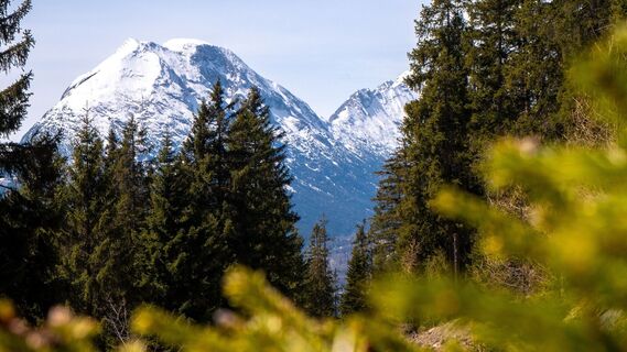 Blick zur Hohen Munde