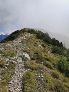Foto de U Kirschstein a lo largo del recorrido