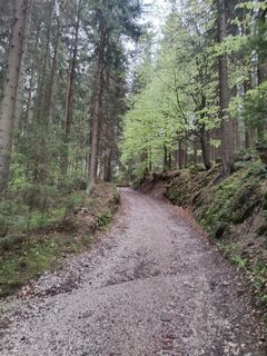 Foto de Jozko Mrkvicka 1 a lo largo del recorrido