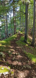 Fotografia z ReginaSt na trase