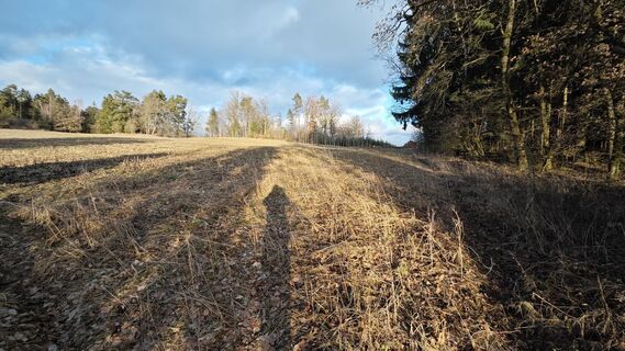 Fotografija s spletne strani prager64 na poti