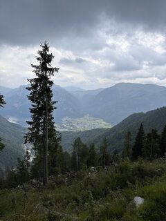 Fotografija s spletne strani Babs Holz na poti