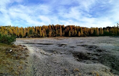 Moorlandschaft - Liezener Hütte