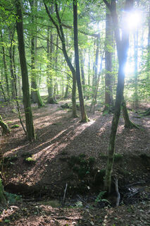 Stellerskuppenweg 02