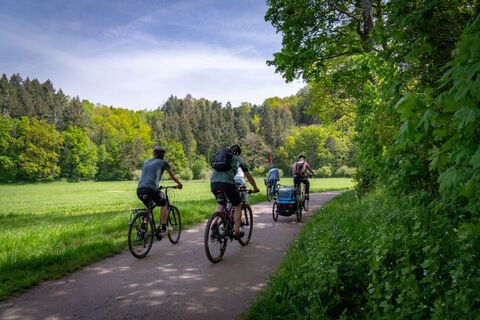 Dreisamtal Radweg