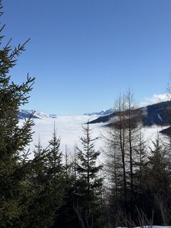 Foto von Ulrike Schernthaner entlang der Tour