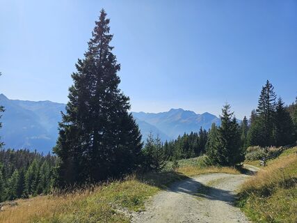 Fotografia z Christian Hutter 1 na trase