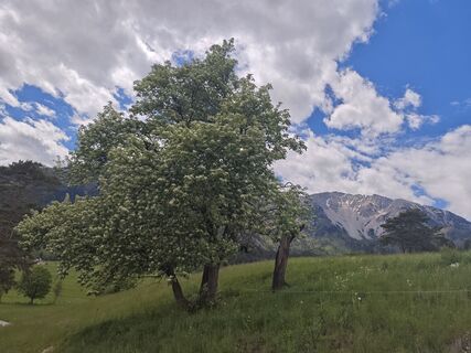 Foto von Bergpirat entlang der Tour