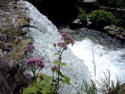 Faltenbach - Wasserfall