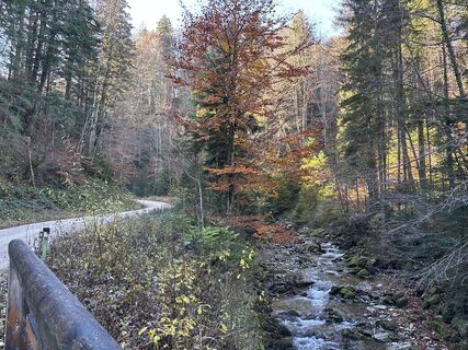 Fotografia z Heinz Sperl na trase