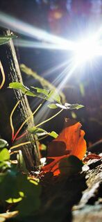 Fotó a Klaus Lehner honlapról a túra során