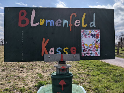 Blumenfeld am Seiltgenweg