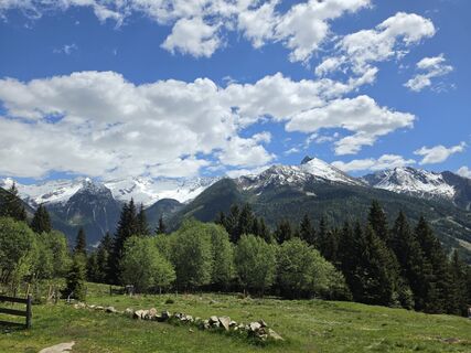 Foto von Poestlingberg entlang der Tour