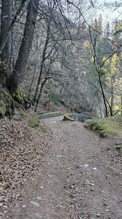 Fotografija s spletne strani Désirée Polz na poti