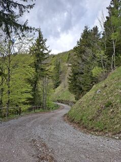 Foto von Miha Gros entlang der Tour