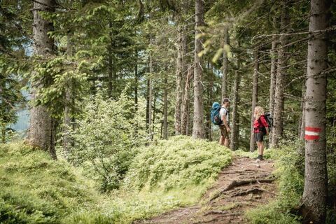 Auf dem Weg nach Johnsbach