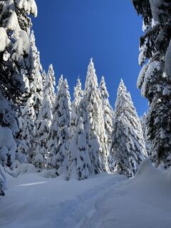 Fotografie z Klaus Küng na trase