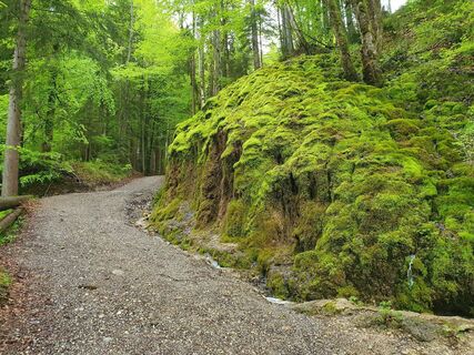 Foto von Thomas Schekira entlang der Tour