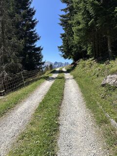 Fotografija s spletne strani Milan Landau na poti
