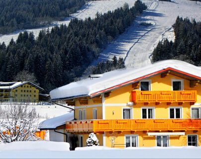 Ferienhaus Walchhofer