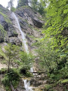 Photo de frigur le long du parcours
